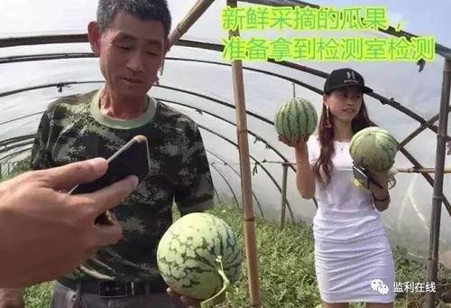 吃瓜直播群众留言,吃瓜群众热议，留言背后的精彩瞬间